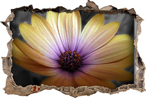 Pixxprint 3D_WD_S4666_62x42 schöne seltene Blume Wanddurchbruch 3D Wandtattoo, Vinyl, schwarz / weiß, 62 x 42 x 0,02 cm von Pixxprint