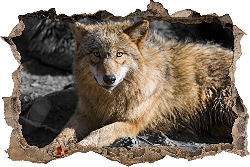 Pixxprint 3D_WD_S4760_62x42 ruhender schöner Wolf mit braunem Fell Wanddurchbruch 3D Wandtattoo, Vinyl, schwarz / weiß, 62 x 42 x 0,02 cm von Pixxprint