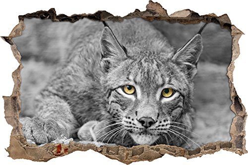 Pixxprint 3D_WD_S4763_62x42 ausruhender Luchs Wanddurchbruch 3D Wandtattoo, Vinyl, schwarz / weiß, 62 x 42 x 0,02 cm von Pixxprint