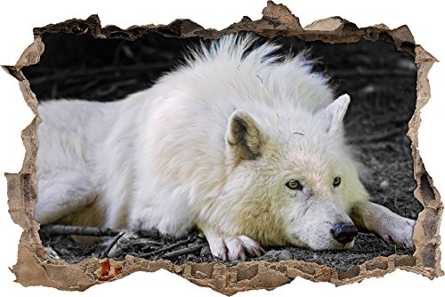 Pixxprint 3D_WD_S4768_62x42 liegender Polarwolf mit schönem Fell Wanddurchbruch 3D Wandtattoo, Vinyl, schwarz / weiß, 62 x 42 x 0,02 cm von Pixxprint