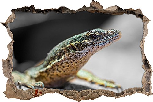 Pixxprint 3D_WD_S4775_92x62 winziger Leguan mit Punkten Wanddurchbruch 3D Wandtattoo, Vinyl, schwarz / weiß, 92 x 62 x 0,02 cm von Pixxprint