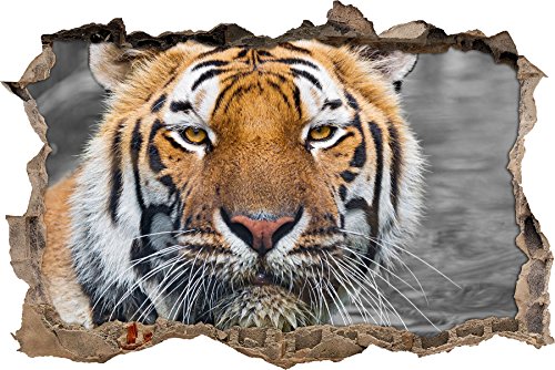 Pixxprint 3D_WD_S4796_62x42 prächtiger Tiger Wanddurchbruch 3D Wandtattoo, Vinyl, schwarz / weiß, 62 x 42 x 0,02 cm von Pixxprint