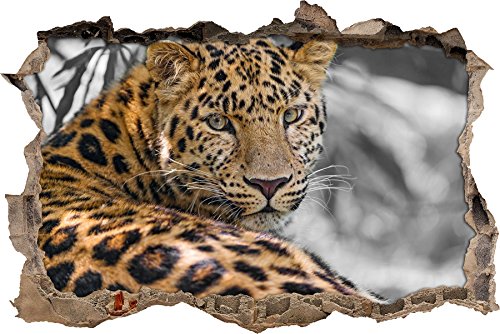 Pixxprint 3D_WD_S4820_92x62 ausruhender Leopard Wanddurchbruch 3D Wandtattoo, Vinyl, schwarz / weiß, 92 x 62 x 0,02 cm von Pixxprint