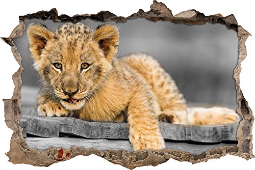 Pixxprint 3D_WD_S4850_62x42 spielendes Löwenjunges auf Holz Wanddurchbruch 3D Wandtattoo, Vinyl, schwarz / weiß, 62 x 42 x 0,02 cm von Pixxprint