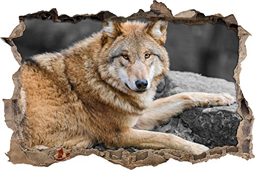 Pixxprint 3D_WD_S4861_92x62 wundervoller Wolf mit braunem Fell Wanddurchbruch 3D Wandtattoo, Vinyl, schwarz / weiß, 92 x 62 x 0,02 cm von Pixxprint