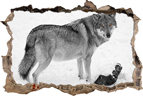 Pixxprint 3D_WD_S4882_62x42 wachsamer Wolf mit schönem Fell Wanddurchbruch 3D Wandtattoo, Vinyl, schwarz / weiß, 62 x 42 x 0,02 cm von Pixxprint