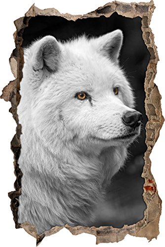 Pixxprint 3D_WD_S4938_62x42 schöner Polarwolf mit weißem Fell Wanddurchbruch 3D Wandtattoo, Vinyl, schwarz / weiß, 62 x 42 x 0,02 cm von Pixxprint