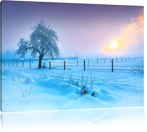 Pixxprint Baum in Winterlandschaft, Größe: 80x60cm, Leinwandbild, fertig gespannt, Wandbild, Dekoration, Kunstdruck, kein Poster von Pixxprint