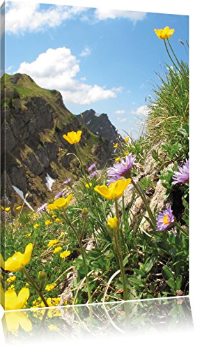 Pixxprint Blumenwiese im Frühling, Größe: 80x60cm, Leinwandbild, fertig gespannt, Wandbild, Dekoration, Kunstdruck, kein Poster Pixxprint Blumenwiese im Frühling, Größe: 80x60cm, Leinwandbild, fertig gespannt, Wandbild, Dekoration, Kunstdruck, kein Poster von Pixxprint