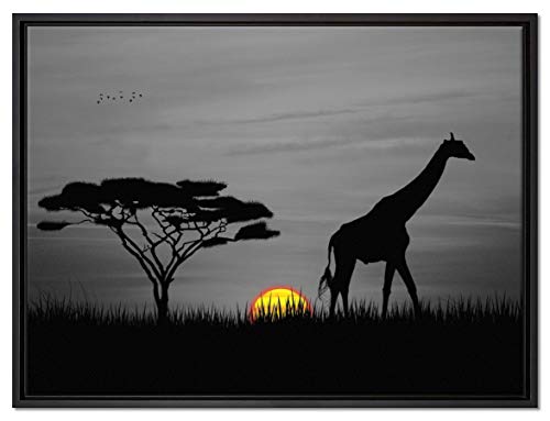 Pixxprint Giraffe im Sonnenuntergang Leinwandbild 80x60 cm im Bilderahmen, Wandbild, Schattenfugenrahmen, Kein Poster Pixxprint Giraffe im Sonnenuntergang Leinwandbild 80x60 cm im Bilderahmen, Wandbild, Schattenfugenrahmen, Kein Poster von Pixxprint