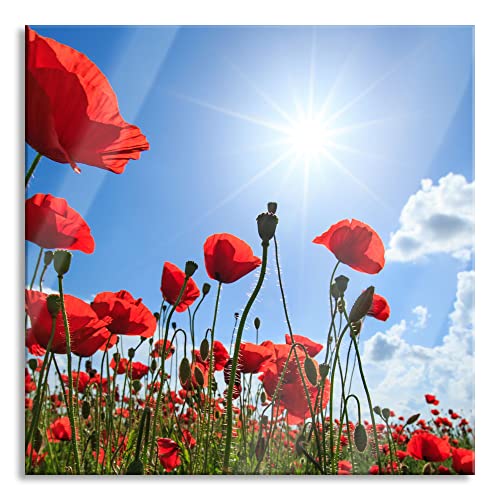 Pixxprint Glasbild, Wandbild auf Echtglas, Mohnblumen, 60x60 cm, inkl. Aufhängung und Abstandshalter Pixxprint Glasbild, Wandbild auf Echtglas, Mohnblumen, 60x60 cm, inkl. Aufhängung und Abstandshalter von Pixxprint