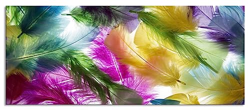 Pixxprint Glasbild Panorama, Wandbild aus Echtglas, Anordnung von Federn, 100x40 cm, inkl. Aufhängung und Abstandshalter Pixxprint Glasbild Panorama, Wandbild aus Echtglas, Anordnung von Federn, 100x40 cm, inkl. Aufhängung und Abstandshalter von Pixxprint