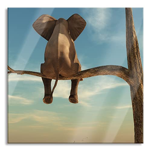 Pixxprint Glasbild | Wandbild auf Echtglas | Elefant auf einem Ast in der Wüste | 50x50 cm | inkl. Aufhängung und Abstandshalter von Pixxprint