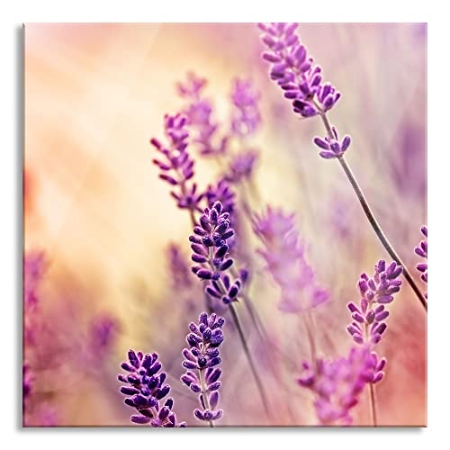 Pixxprint Glasbild | Wandbild auf Echtglas | Eleganter Lavendel | 60x60 cm | inkl. Aufhängung und Abstandshalter von Pixxprint