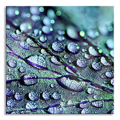 Pixxprint Glasbild | Wandbild auf Echtglas | Nahaufnahme Wassertropfen auf Blatt | 40x40 cm | inkl. Aufhängung und Abstandshalter von Pixxprint