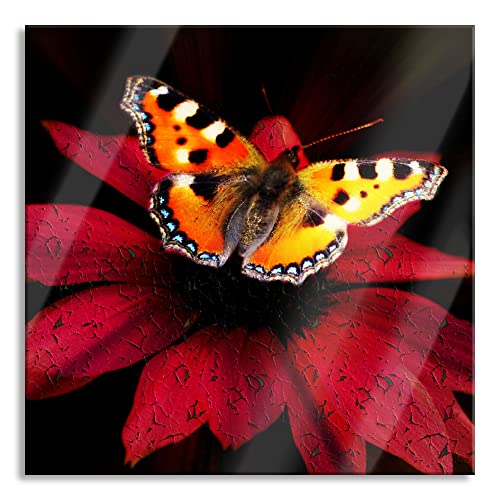 Pixxprint Glasbild | Wandbild auf Echtglas | Schmetterling auf roter Blüte | 40x40 cm | inkl. Aufhängung und Abstandshalter von Pixxprint