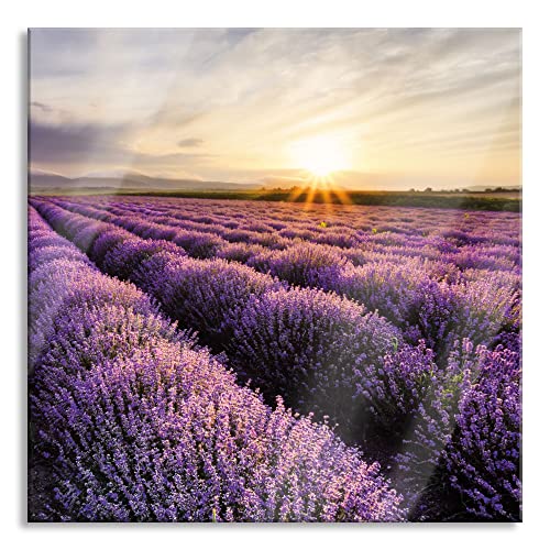 Pixxprint Glasbild | Wandbild auf Echtglas | Traumhafte Lavendel Provence | 50x50 cm | inkl. Aufhängung und Abstandshalter von Pixxprint