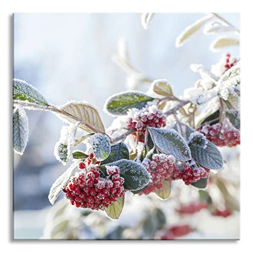 Pixxprint Glasbild | Wandbild auf Echtglas | Vogelbeeren im Winter | 40x40 cm | inkl. Aufhängung und Abstandshalter von Pixxprint