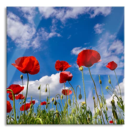 Pixxprint Glasbild | Wandbild auf Echtglas | Wiese mit Blumen | 40x40 cm | inkl. Aufhängung und Abstandshalter von Pixxprint