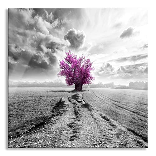 Pixxprint Glasbild | Wandbild auf Echtglas | aufregend pinkes Feld | 40x40 cm | inkl. Aufhängung und Abstandshalter von Pixxprint