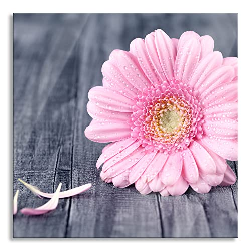 Pixxprint Glasbild | Wandbild auf Echtglas | pinke Gerbera auf rustikalem Boden | 60x60 cm | inkl. Aufhängung und Abstandshalter von Pixxprint