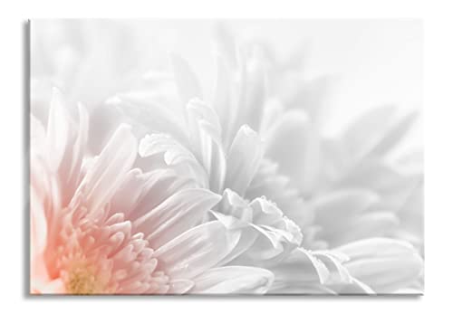 Pixxprint Glasbild | Wandbild aus Echtglas | Gerbera-Blume | 60x40 cm | inkl. Aufhängung und Abstandshalter von Pixxprint