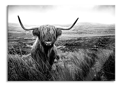 Pixxprint Glasbild | Wandbild aus Echtglas | Highland Rind mit großen Hörnern Steppe, Monochrome | 100x70 cm | inkl. Aufhängung und Abstandshalter von Pixxprint