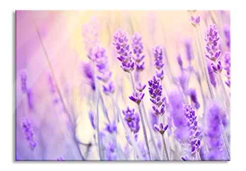 Pixxprint Glasbild | Wandbild aus Echtglas | Lavendel im Retro Look | 60x40 cm | inkl. Aufhängung und Abstandshalter von Pixxprint