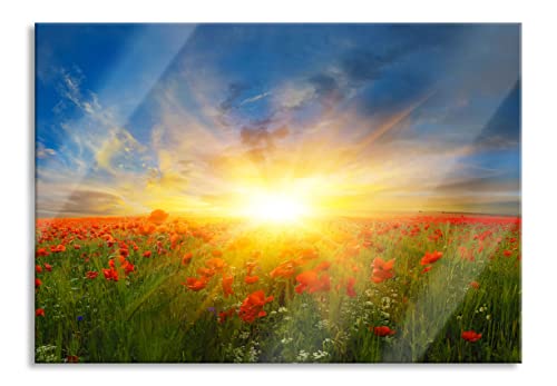 Pixxprint Glasbild | Wandbild aus Echtglas | Mohnwiese in der Sonne | 100x70 cm | inkl. Aufhängung und Abstandshalter von Pixxprint