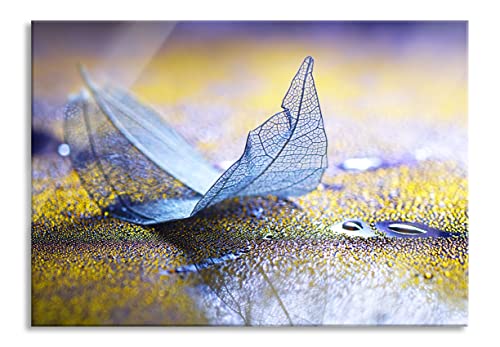 Pixxprint Glasbild | Wandbild aus Echtglas | Nahaufnahme blaues Blattgerüst im Regen | 60x40 cm | inkl. Aufhängung und Abstandshalter von Pixxprint