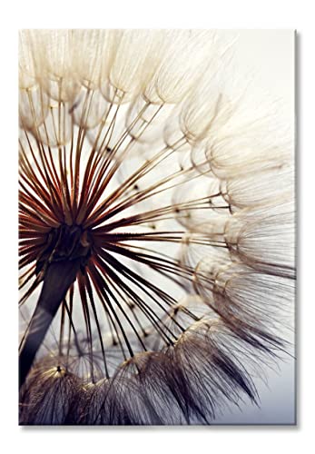 Pixxprint Glasbild | Wandbild aus Echtglas | Schöne Pusteblume | 70x100 cm | inkl. Aufhängung und Abstandshalter von Pixxprint