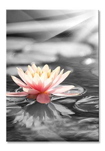 Pixxprint Glasbild | Wandbild aus Echtglas | Seerose Wasseroberfläche | 60x80 cm | inkl. Aufhängung und Abstandshalter von Pixxprint