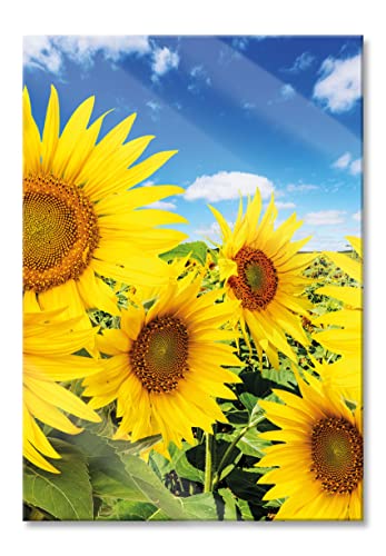 Pixxprint Glasbild | Wandbild aus Echtglas | Sonnenblumenwiese unter Himmel | 40x60 cm | inkl. Aufhängung und Abstandshalter von Pixxprint