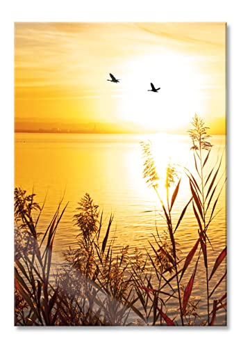 Pixxprint Glasbild | Wandbild aus Echtglas | Sonnenuntergang am See | 70x100 cm | inkl. Aufhängung und Abstandshalter von Pixxprint