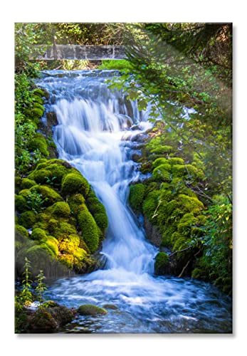 Pixxprint Glasbild | Wandbild aus Echtglas | Wasserfall im grünen Wald | 40x60 cm | inkl. Aufhängung und Abstandshalter von Pixxprint