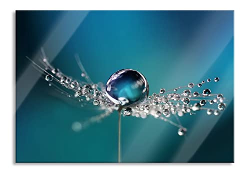 Pixxprint Glasbild, Wandbild aus Echtglas, Wassertropfen auf einer Pusteblume, 80x60 cm, inkl. Aufhängung und Abstandshalter Pixxprint Glasbild, Wandbild aus Echtglas, Wassertropfen auf einer Pusteblume, 80x60 cm, inkl. Aufhängung und Abstandshalter von Pixxprint