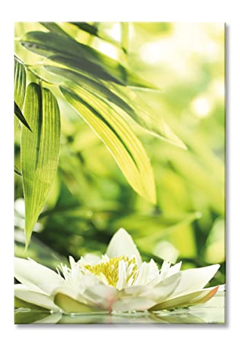 Pixxprint Glasbild | Wandbild aus Echtglas | Weiße Seerose im Wasser Wellness | 60x80 cm | inkl. Aufhängung und Abstandshalter von Pixxprint