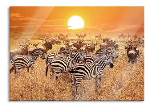 Pixxprint Glasbild | Wandbild aus Echtglas | Zebraherde Savanne bei Sonnenuntergang | 80x60 cm | inkl. Aufhängung und Abstandshalter von Pixxprint
