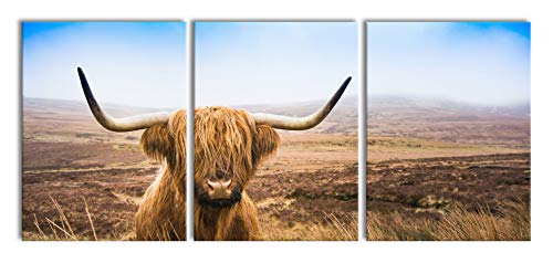 Pixxprint Highland Rind mit großen Hörnern Steppe, XXL Leinwandbild in Übergröße 180x80m Gesamtmaß 3 teilig, Wandbild, Kunstdruck Pixxprint Highland Rind mit großen Hörnern Steppe, XXL Leinwandbild in Übergröße 180x80m Gesamtmaß 3 teilig, Wandbild, Kunstdruck von Pixxprint