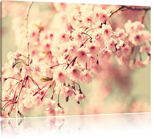 Pixxprint Kirschblüten, Größe: 120x80cm, Leinwandbild, fertig gespannt, Wandbild, Dekoration, Kunstdruck, kein Poster Pixxprint Kirschblüten, Größe: 120x80cm, Leinwandbild, fertig gespannt, Wandbild, Dekoration, Kunstdruck, kein Poster von Pixxprint