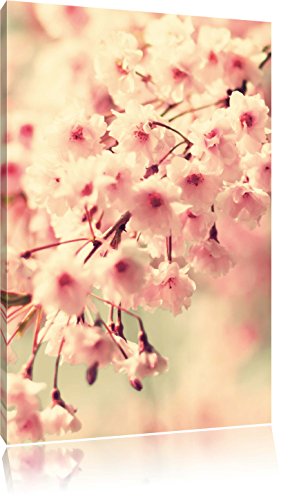 Pixxprint Kirschblüten, Größe: 60x40cm, Leinwandbild, fertig gespannt, Wandbild, Dekoration, Kunstdruck, kein Poster Pixxprint Kirschblüten, Größe: 60x40cm, Leinwandbild, fertig gespannt, Wandbild, Dekoration, Kunstdruck, kein Poster von Pixxprint