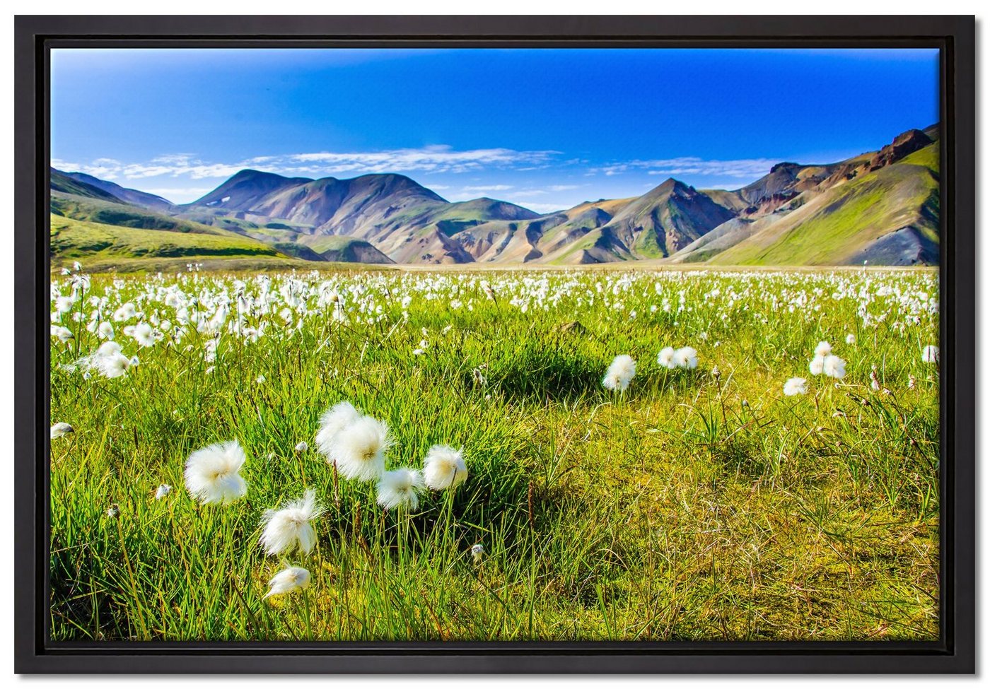 Pixxprint Leinwandbild Alpenwiese, Wanddekoration (1 St), Leinwandbild fertig bespannt, in einem Schattenfugen-Bilderrahmen gefasst, inkl. Zackenaufhänger von Pixxprint