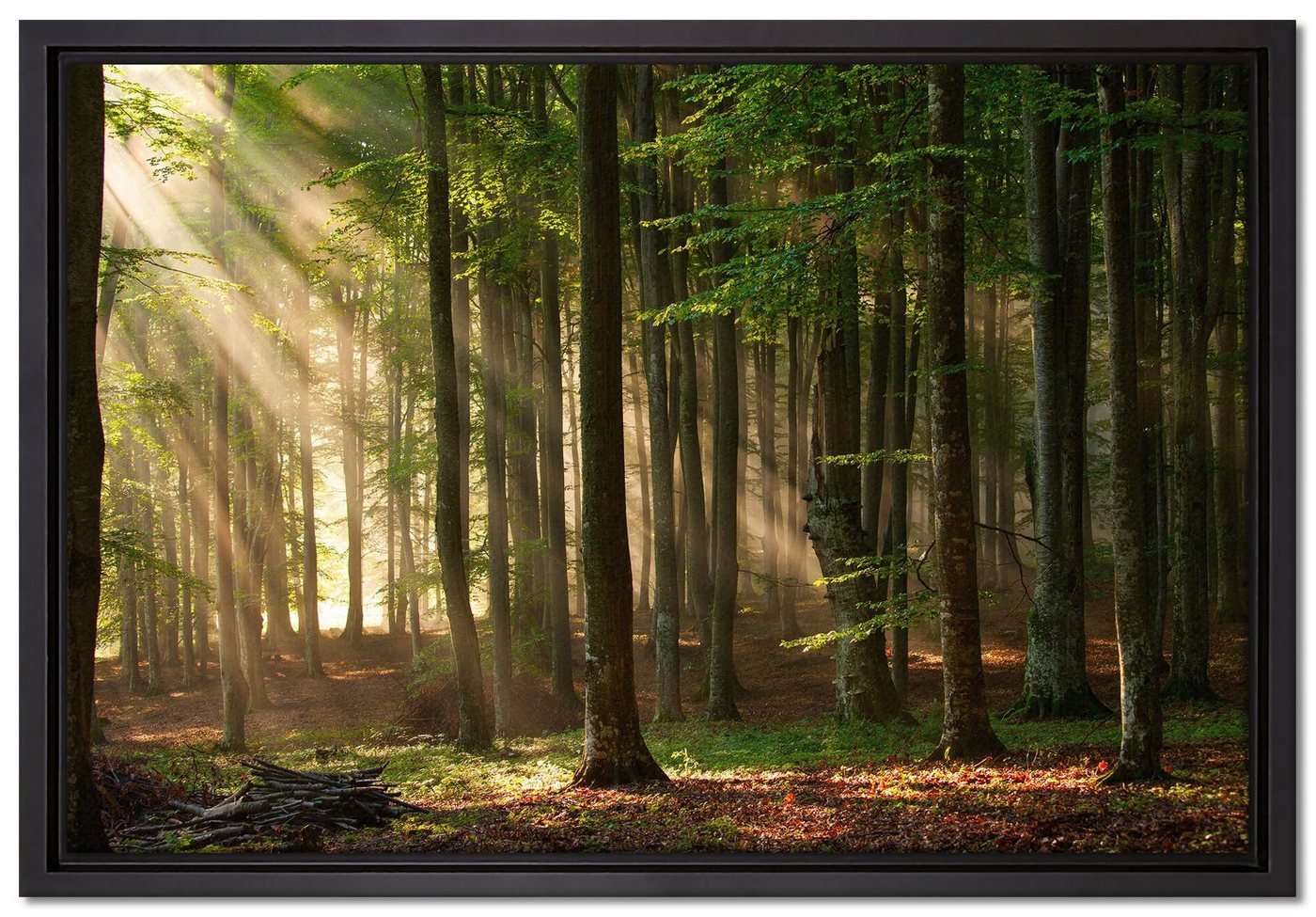 Pixxprint Leinwandbild Bäume im, Wanddekoration (1 St), Leinwandbild fertig bespannt, in einem Schattenfugen-Bilderrahmen gefasst, inkl. Zackenaufhänger von Pixxprint