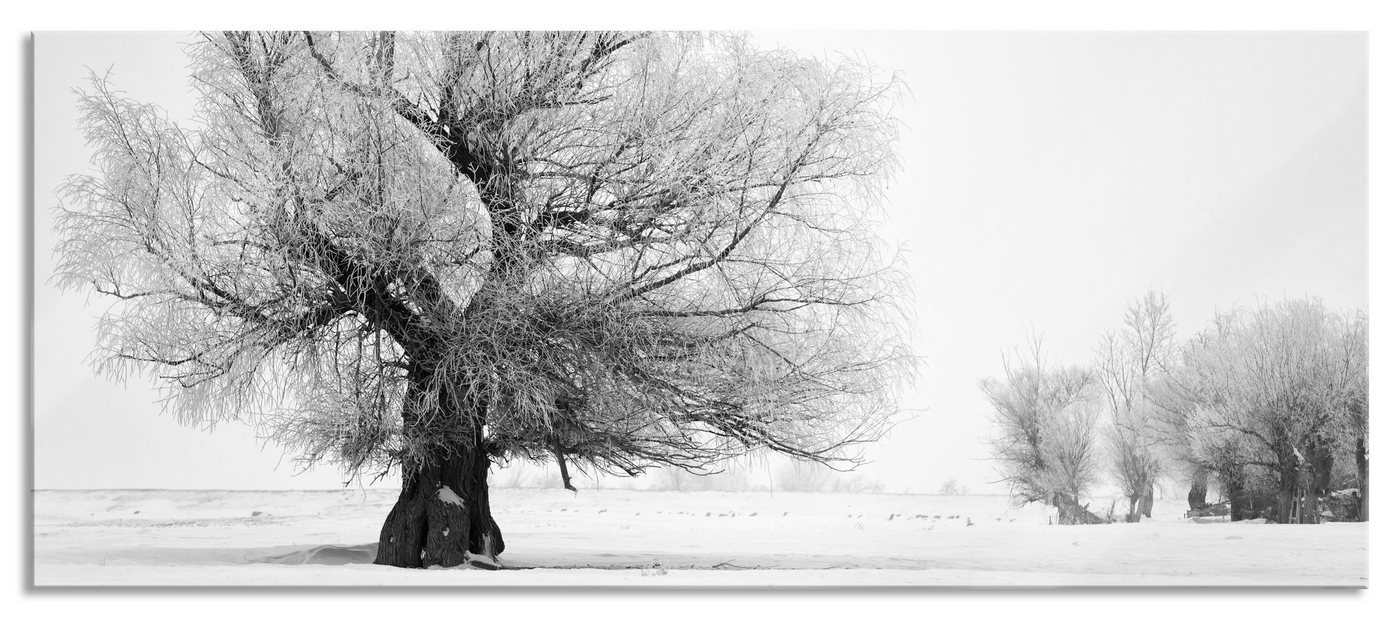 Pixxprint Glasbild Bäume im Schnee Nebel, Bäume im Schnee Nebel (1 St), Glasbild aus Echtglas, inkl. Aufhängungen und Abstandshalter von Pixxprint