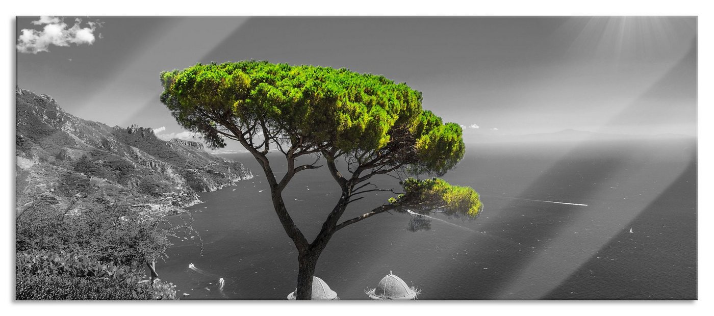 Pixxprint Glasbild Baum am Mittelmeer, Baum am Mittelmeer (1 St), Glasbild aus Echtglas, inkl. Aufhängungen und Abstandshalter von Pixxprint