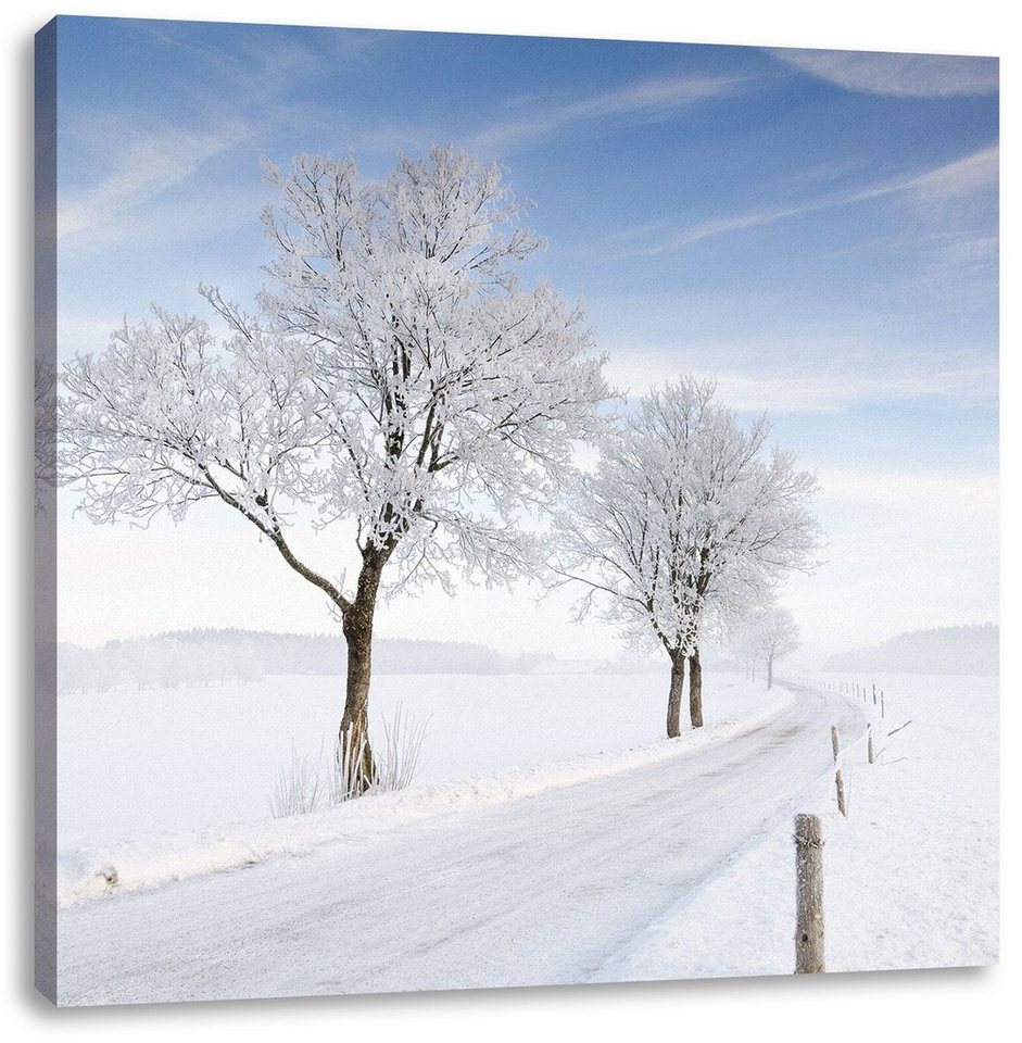 Pixxprint Leinwandbild Baum im Schnee, Baum im Schnee (1 St), Leinwandbild fertig bespannt, inkl. Zackenaufhänger von Pixxprint
