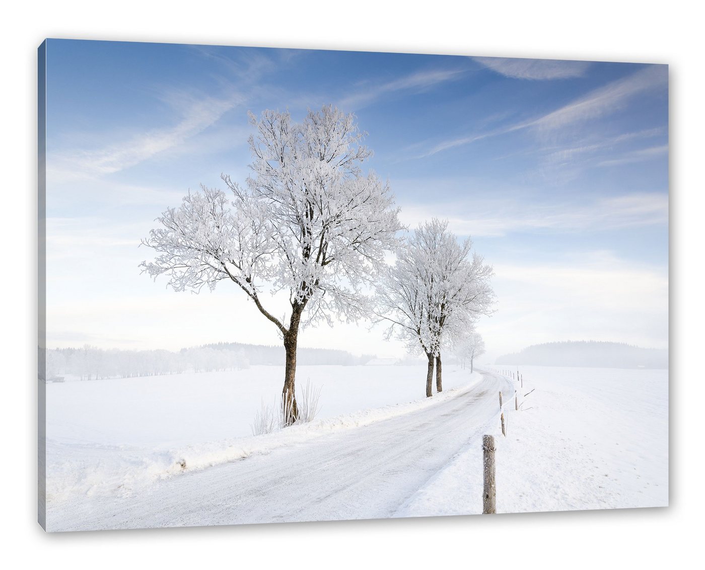 Pixxprint Leinwandbild Baum im Schnee, Baum im Schnee (1 St), Leinwandbild fertig bespannt, inkl. Zackenaufhänger von Pixxprint