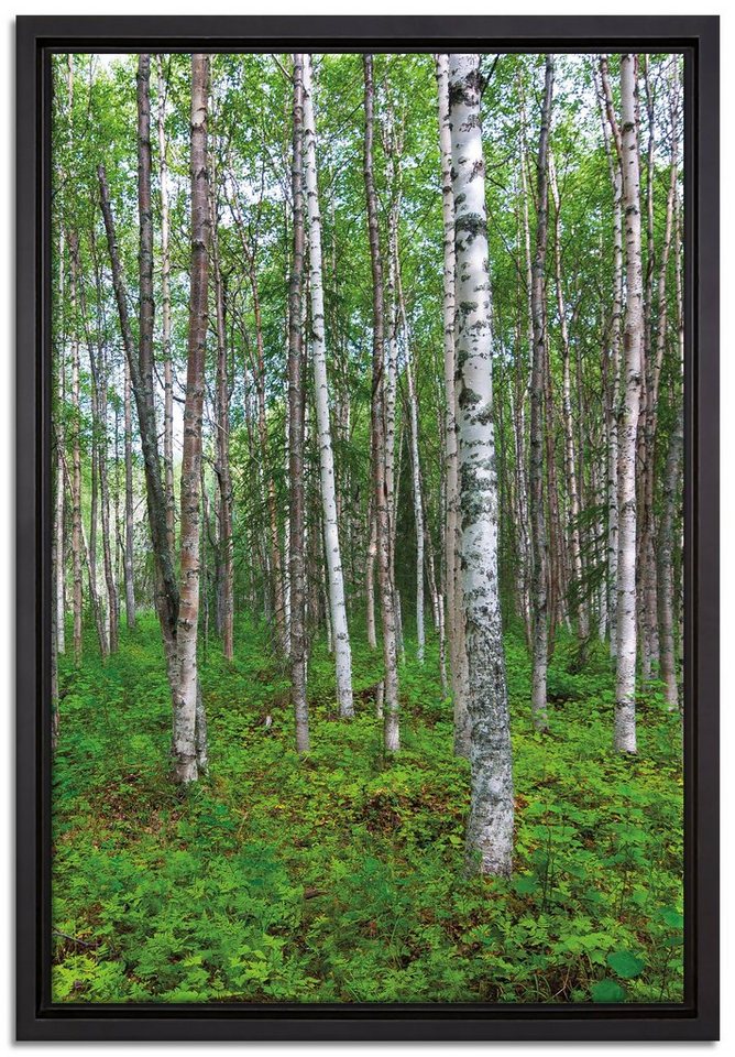 Pixxprint Leinwandbild Birkenwald, Wanddekoration (1 St), Leinwandbild fertig bespannt, in einem Schattenfugen-Bilderrahmen gefasst, inkl. Zackenaufhänger von Pixxprint