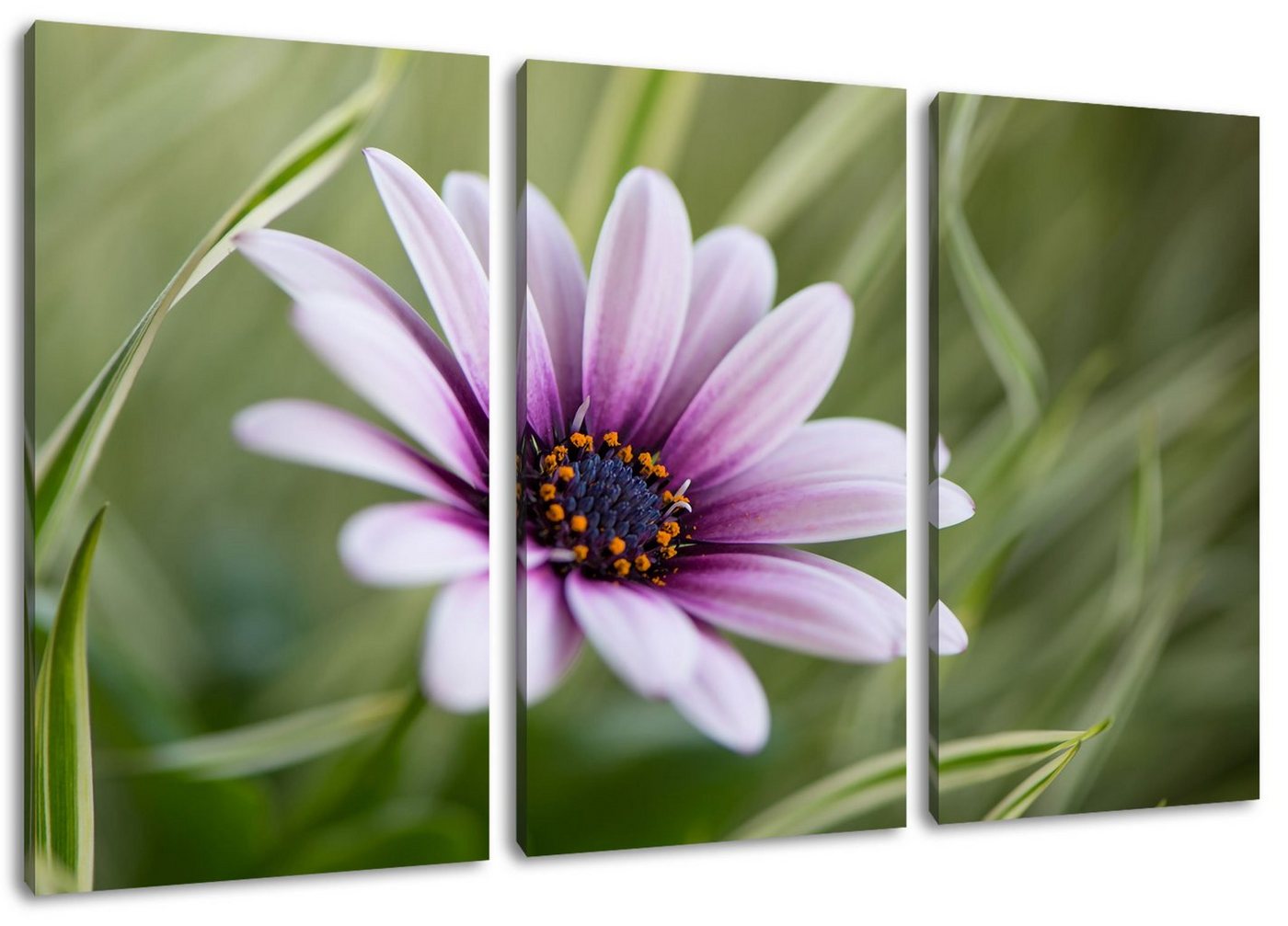 Pixxprint Leinwandbild Blume in der Natur, Blume in der Natur 3Teiler (120x80cm) (1 St), Leinwandbild fertig bespannt, inkl. Zackenaufhänger von Pixxprint