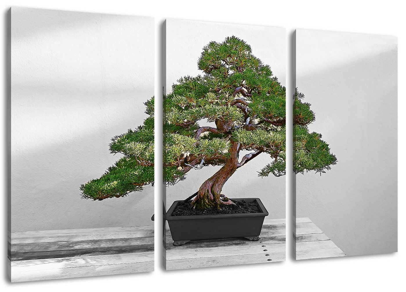 Pixxprint Leinwandbild Bonsai Baum, Bonsai Baum 3Teiler (120x80cm) (1 St), Leinwandbild fertig bespannt, inkl. Zackenaufhänger von Pixxprint